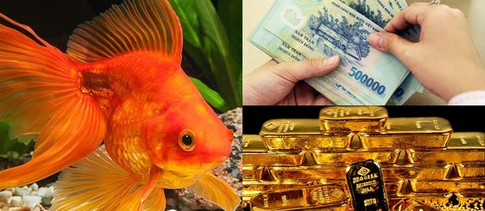4 giấc mộng vàng là điềm báo thần Tài đang vẫy tay chào đón, may mắn dồn dập đến nhà-1